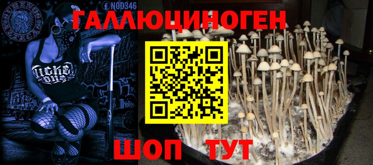 Галлюциногенные грибы MAGIC MUSHROOMS Ангарск